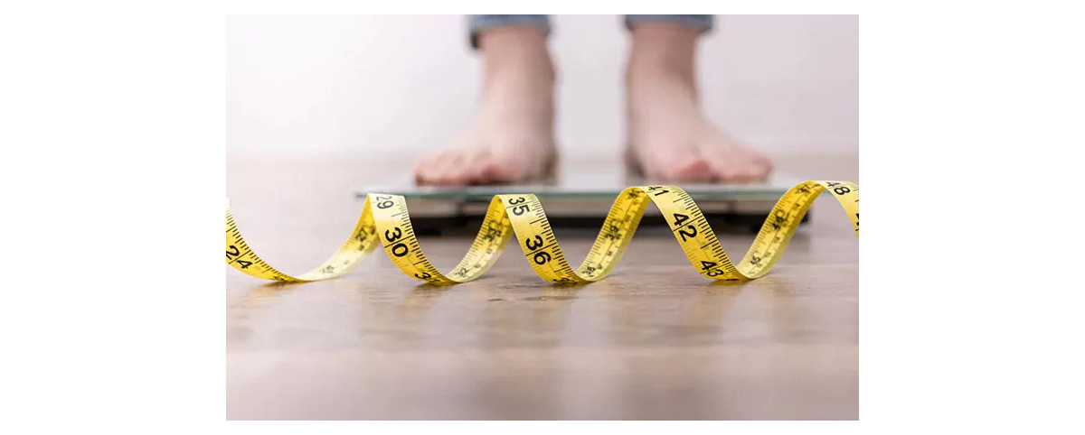 Corosolic Acid promotes fat metabolism, inhibits fat accumulation, and supports healthy weight management
