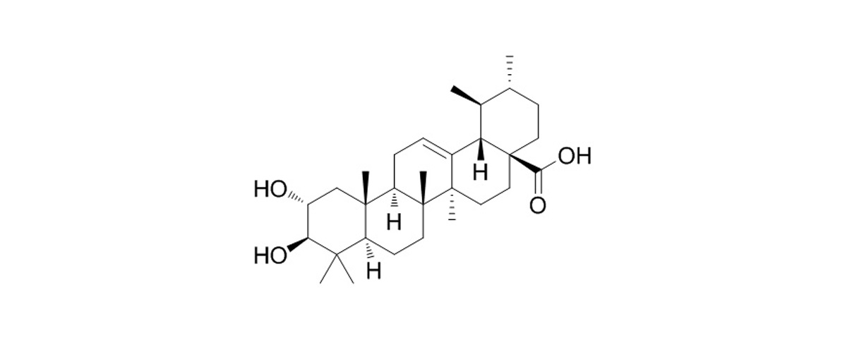 Corosolic Acid structure