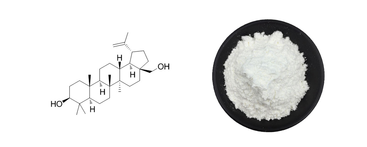 betulin powder and betulin strcture