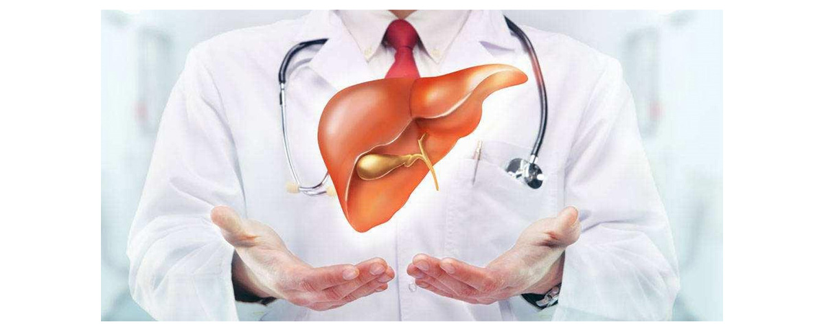 Crocin can reduce oxidative damage to the liver