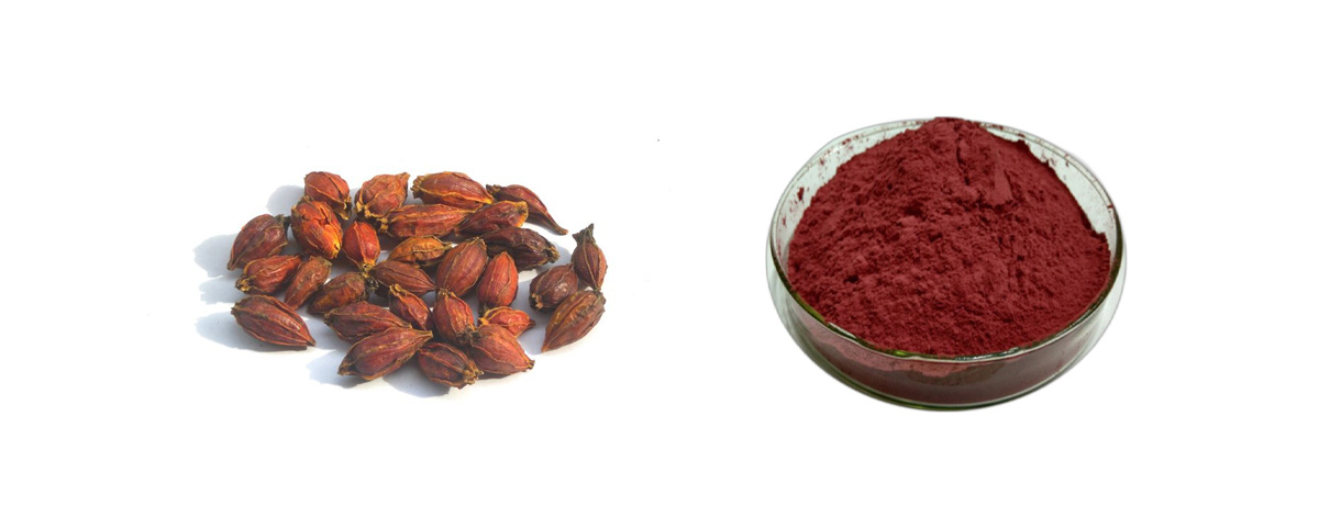 crocin powder