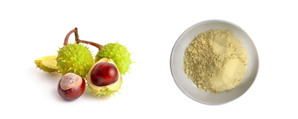 esculetin powder