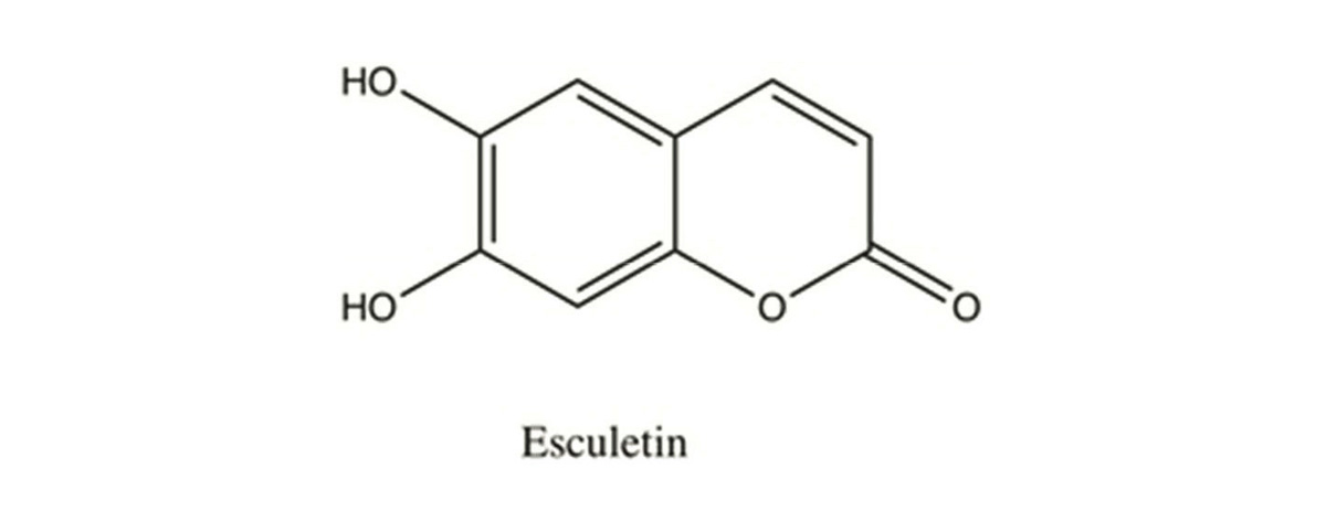 esculetin structure