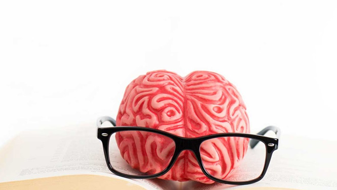 Fisetin can protect nerves and improve memory.jpg
