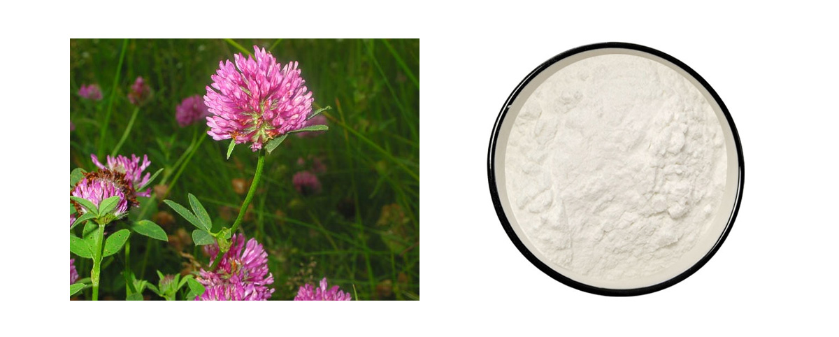 Formononetin powder