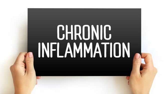 Genistein has benefits in alleviating chronic inflammation.jpg