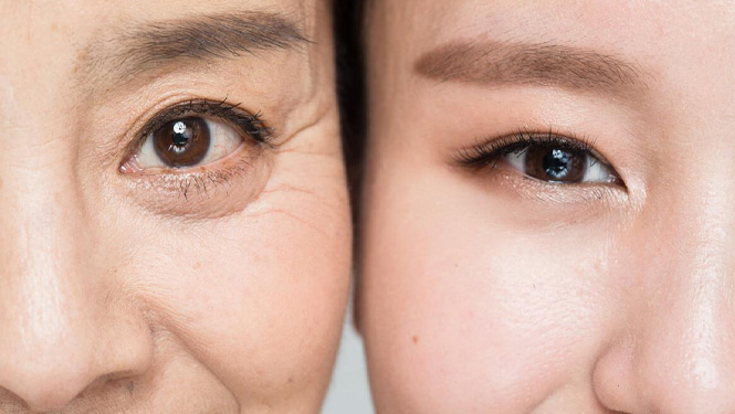 Glycyrrhetinic acid can resist oxidation and free radical damage.jpg
