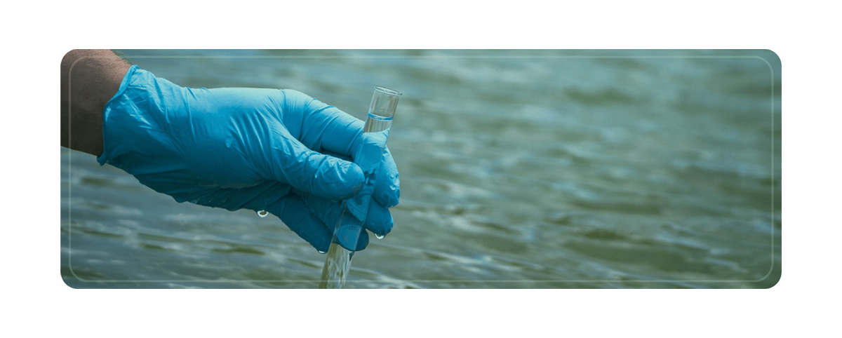 Honokiol magnolol ensures the quality of aquaculture water