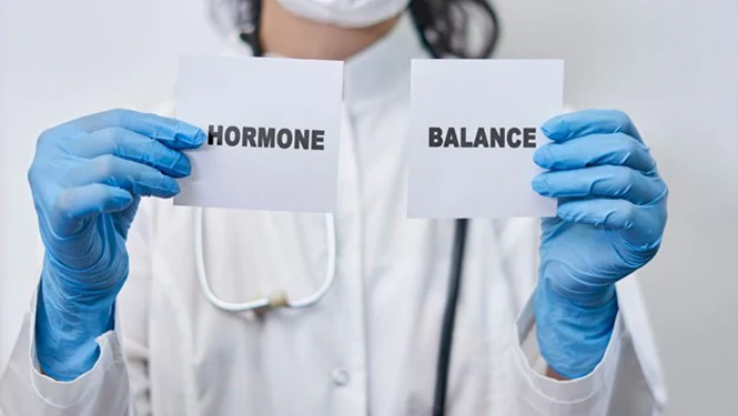 Indole 3 Carbinol vs DIM， Which is More Beneficial for Regulating Estrogen