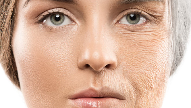 kaempferol benefits for skin suggests significant promise in the realm of anti-aging skincare.jpg