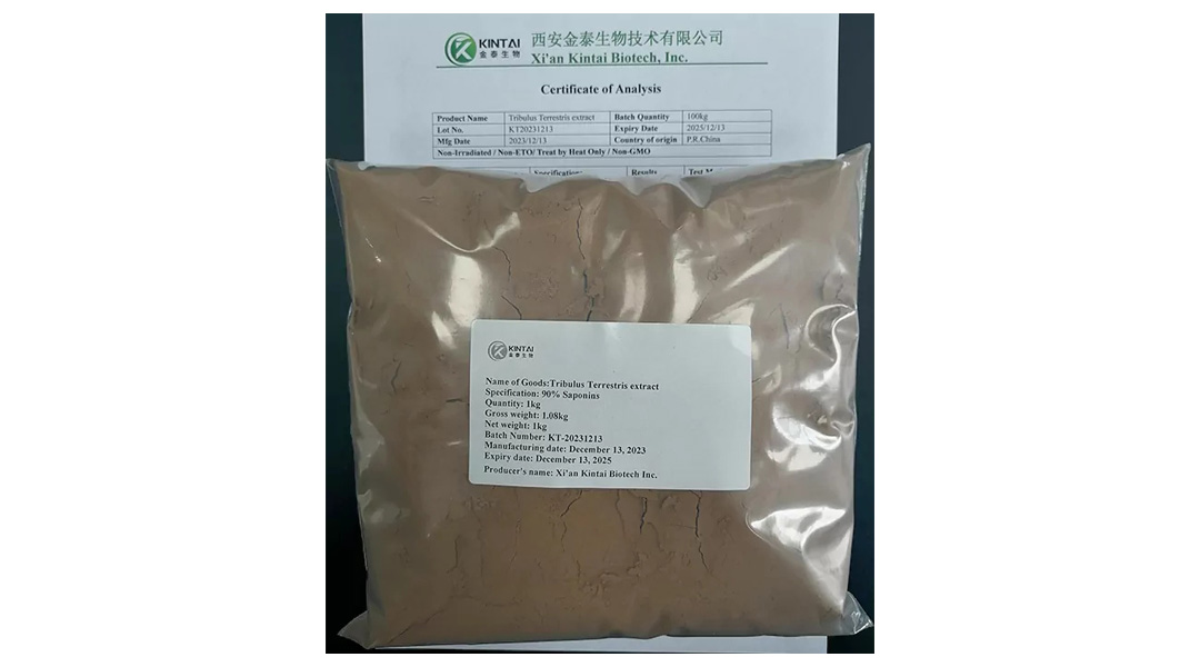 Kintai's Tribulus terrestris powder