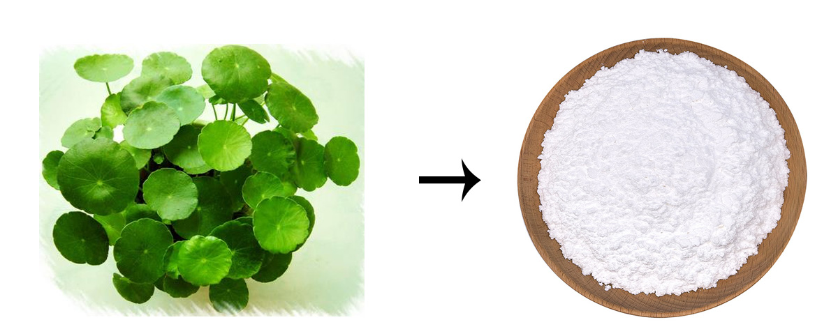 madecassoside powder