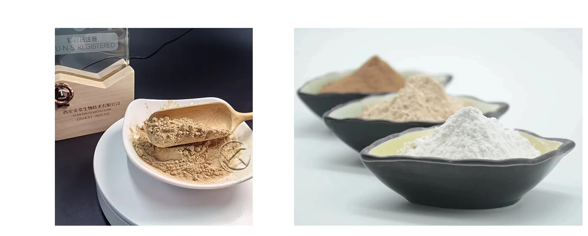 Magnolia officinalis bark extract bulk Honokiol Magnolol powder
