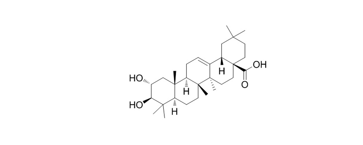 Maslinic Acid structure