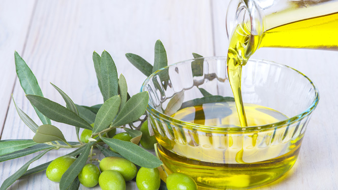oleanolic acid is mainly extracted from olive leaves and olive oil.jpg