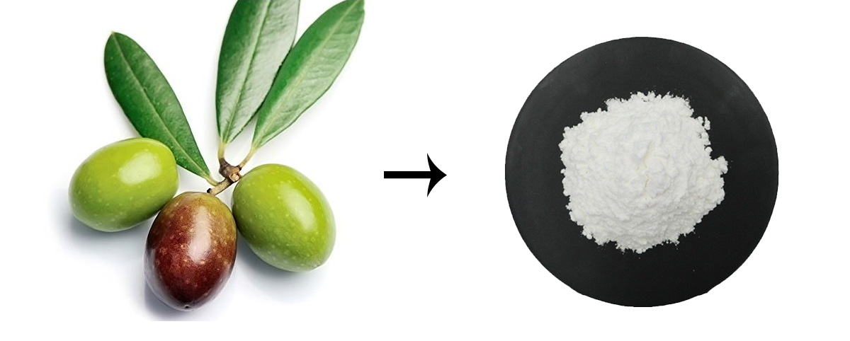 oleanolic acid olive leaf extract