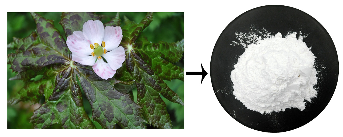 Podophyllotoxin powder