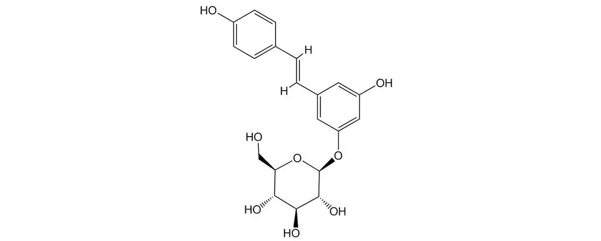 Polydatin powder structure