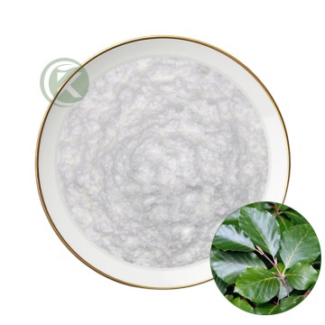 The Beech Wood Tree Extract Pro-Xylane Podwer