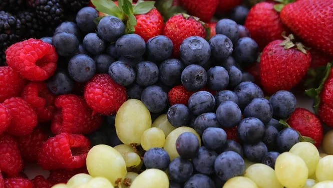 Pterostilbene is mainly extracted from plants and fruits such as blueberries and grapes.jpg