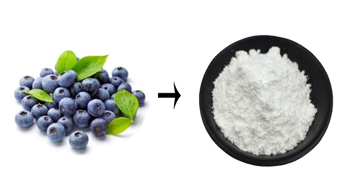 pterostilbene powder.jpg
