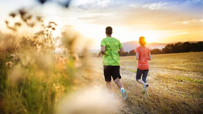 What are the Benefits of Pterostilbene Supplements For Our Body