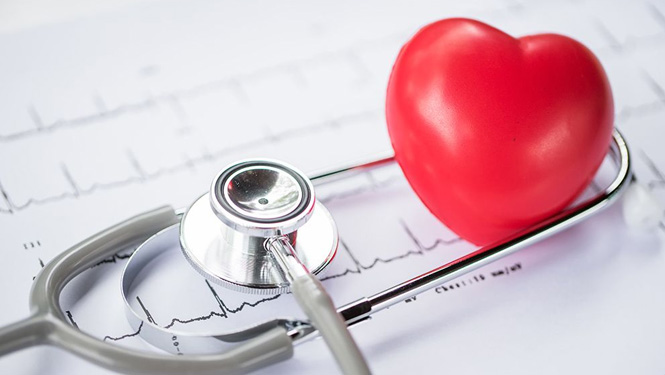 Pueraria Mirifica Improves heart health.jpg