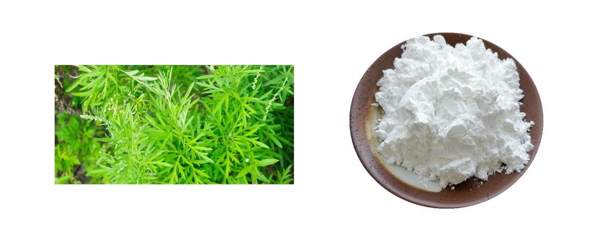 pure artemisinin powder