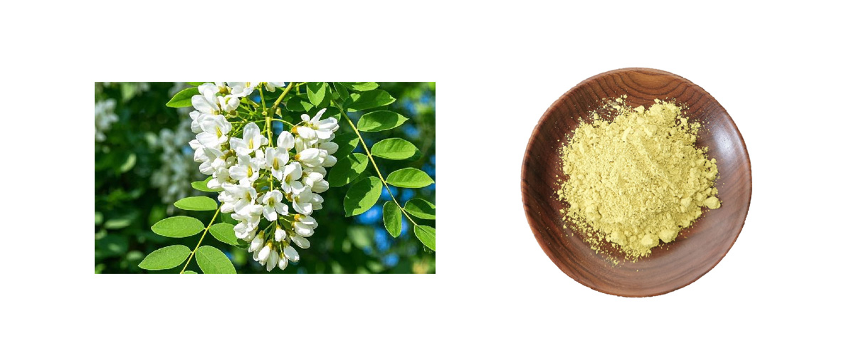 Quercetin Powder structure