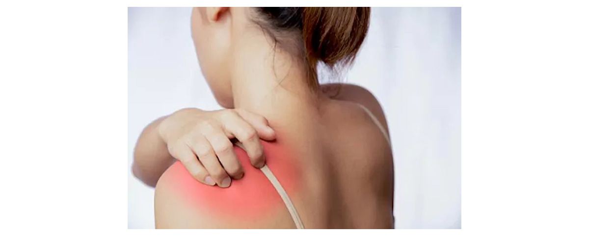Tetrandrine has anti-inflammatory and analgesic effects
