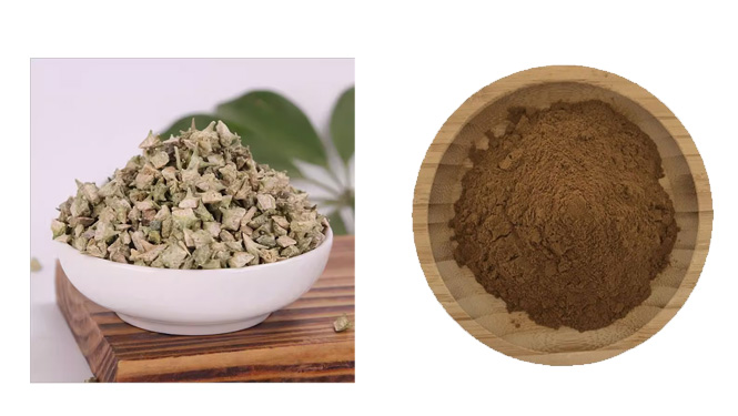 Tribulus terrestris powder.jpg