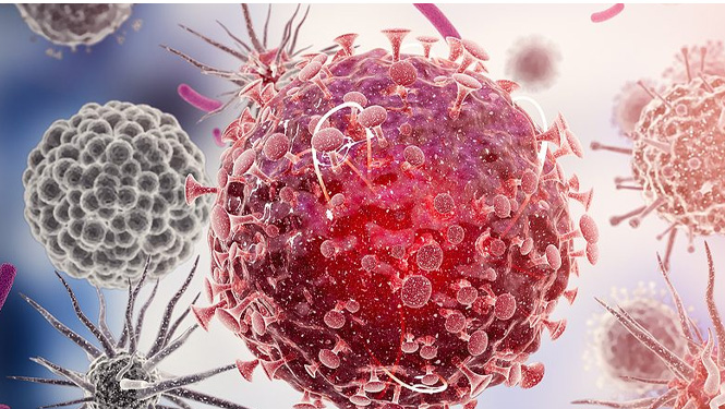 Spermidine trihydrochloride cleanses the cells