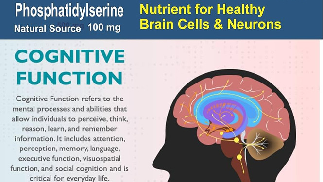 improving memory recall phosphatidylserine