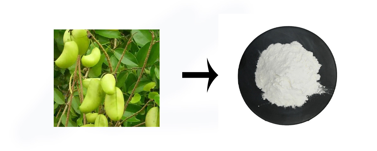5-HTP powder