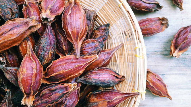 Genipin, is a natural compound extracted from the fruit of Gardenia jasminoides.jpg