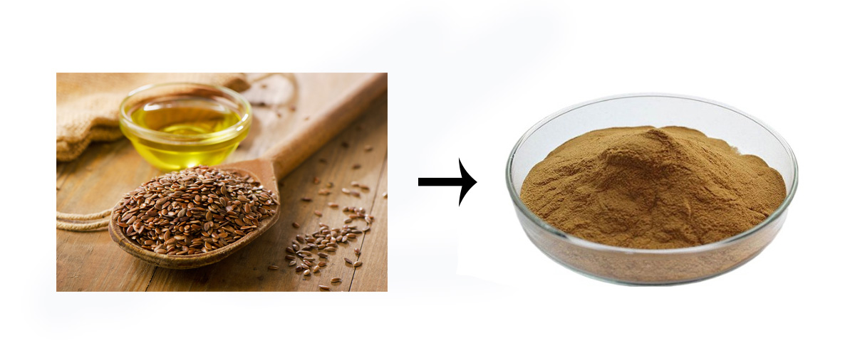 flax seed oil with lignans