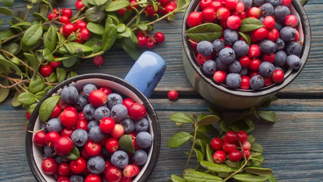 Alpha arbutin is a natural ingredient mainly extracted from plants such as bear fruit, blueberry, cranberry.jpg