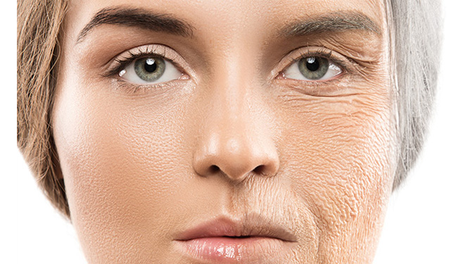 Anti-Aging