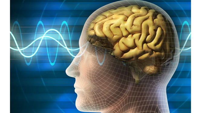 Phosphatidylserine vs Phosphatidylcholine: Which Is Better?