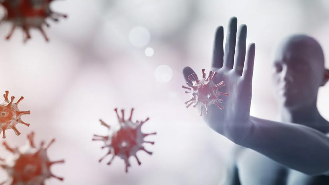 bolstering the immune system