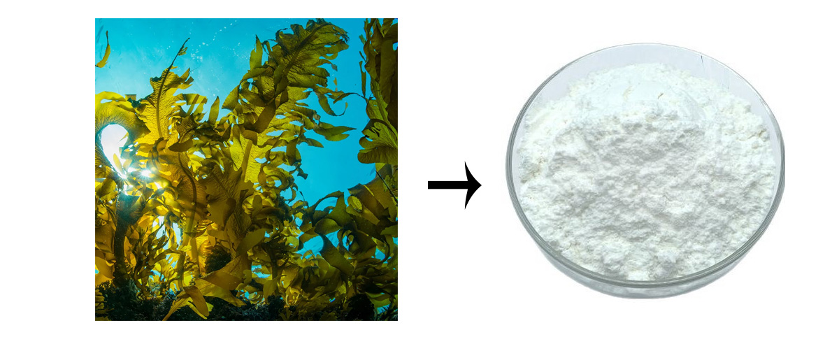Bulk Fucoidan powder