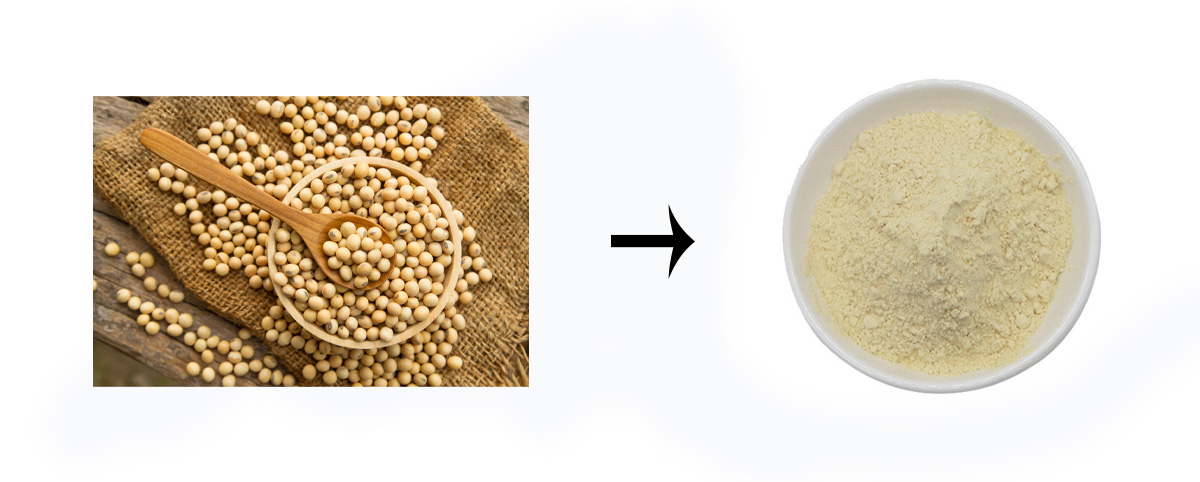 bulk Phosphatidylserine powder
