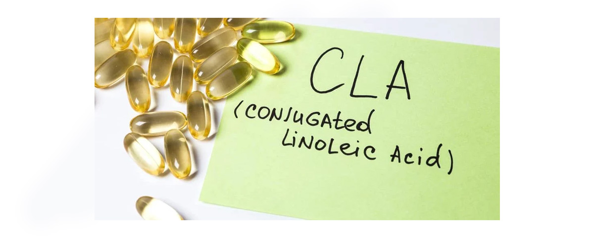 Conjugated linoleic acid supplements