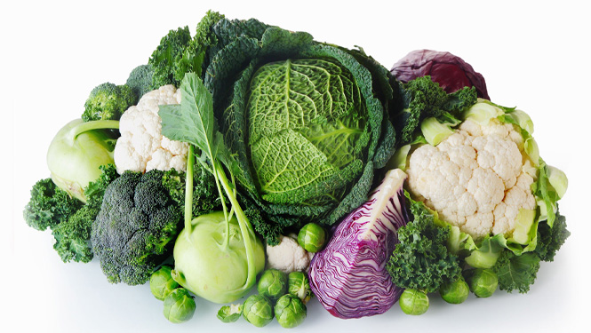 Sulforaphane vs dim, Which one is very useful for human health?