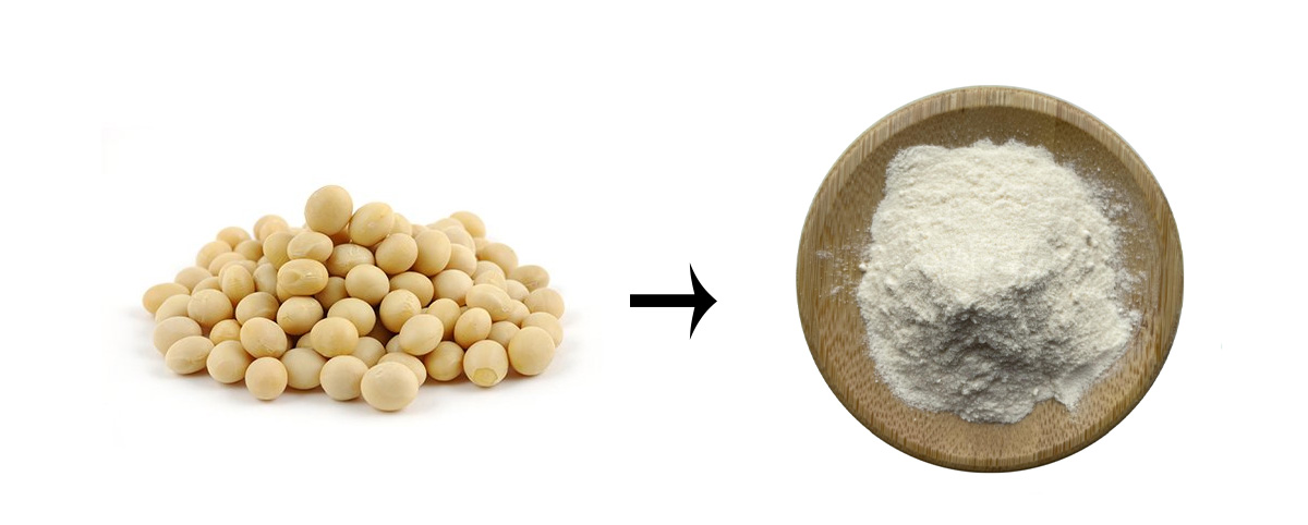 Daidzein powder