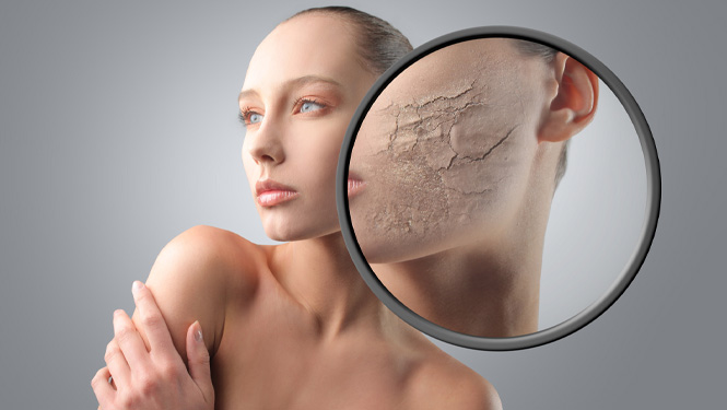 Skin’s New BFF: How This Desert Miracle Is Revolutionizing Your Summer Skincare!
