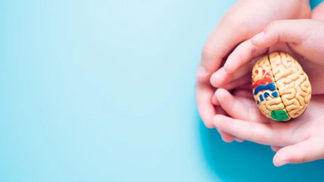 Does Genipin Protect the Nervous System