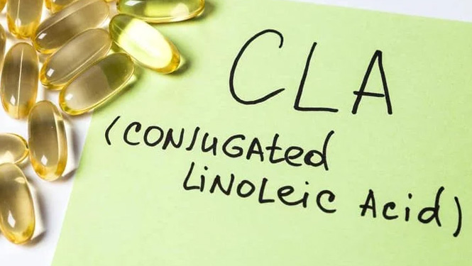 If you’re looking to lose weight, conjugated linoleic acid supplements are the best choice.jpg