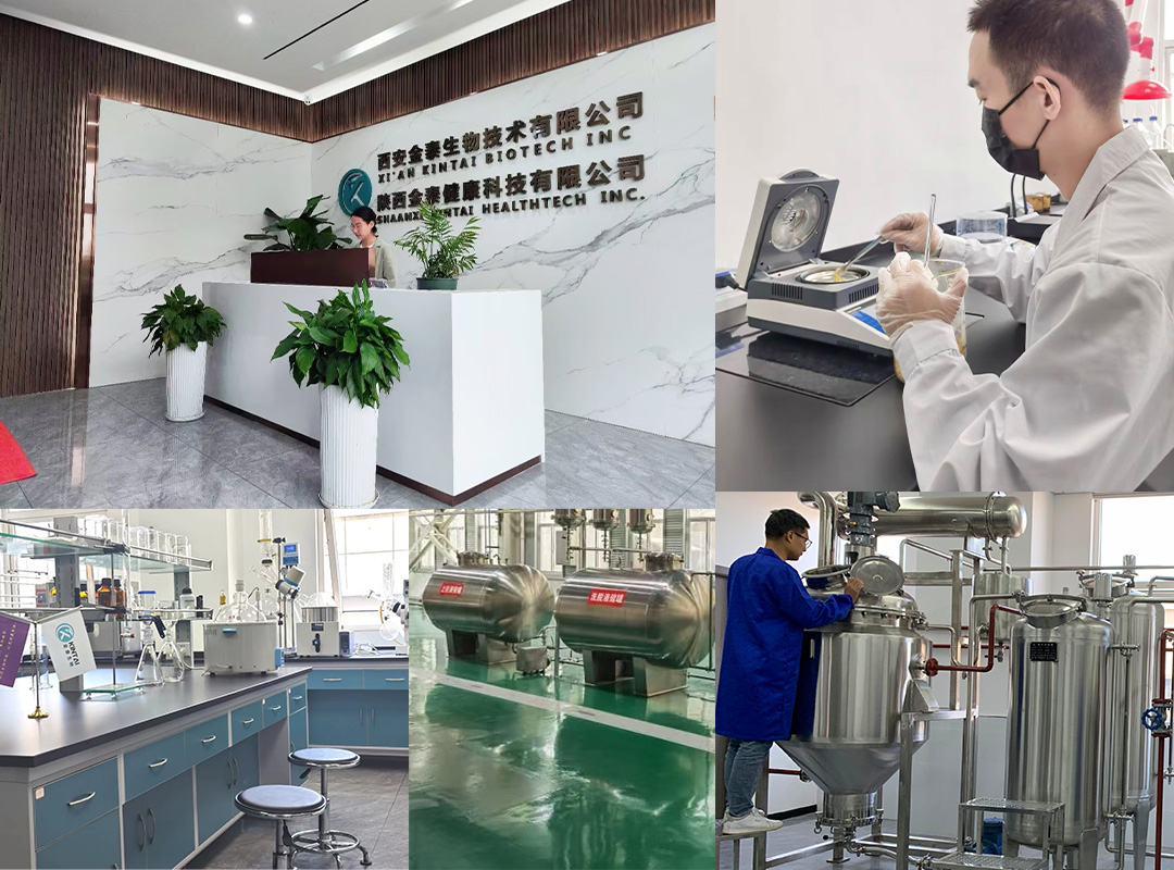 KINTAI biotechnology