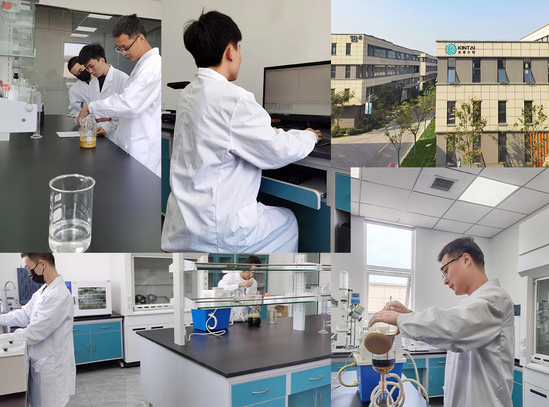 KINTAI biotechnology2